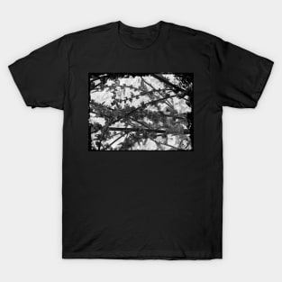 Black and White Beautiful Summer  flowers T-Shirt